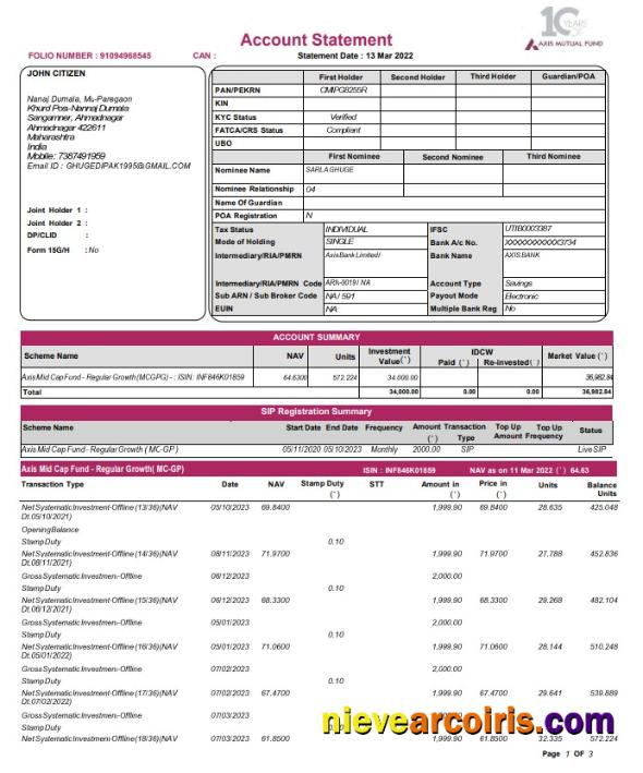 India Axis Mutual Fund bank statement, Word and PDF format, 3 pages